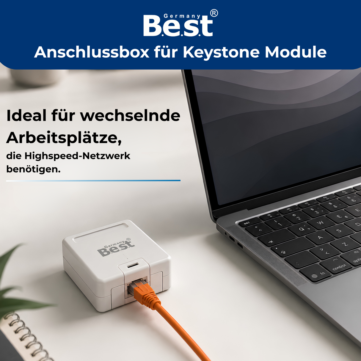 CAT 7 & CAT 8 Netzwerkdose Aufputz mit RJ45 Keystone | 1–4 Port