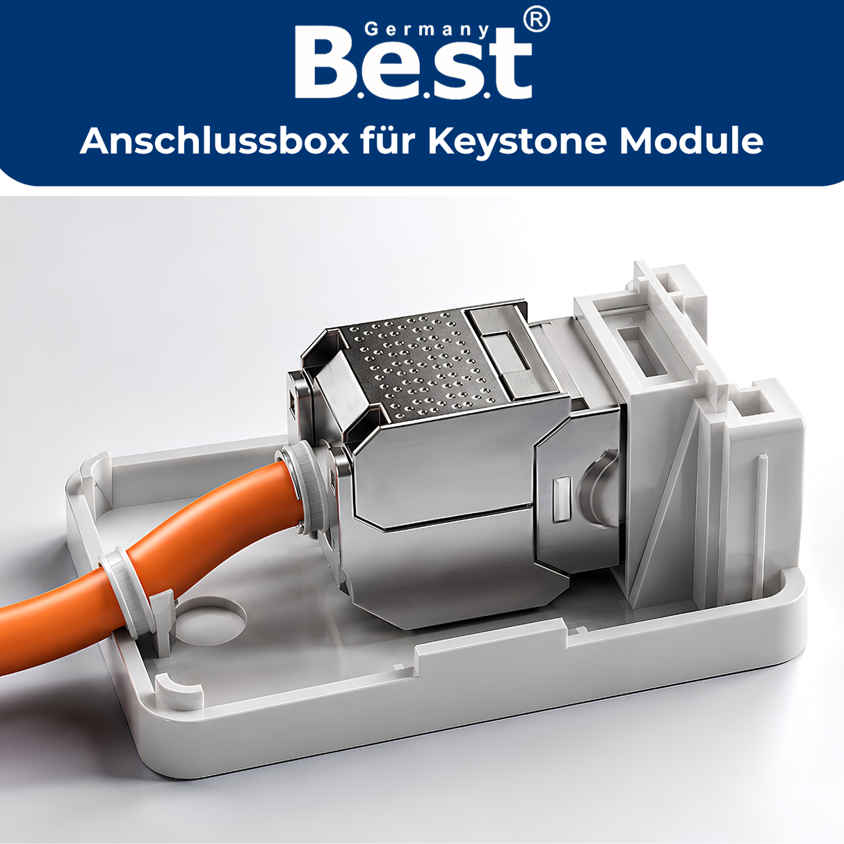 CAT 7 & CAT 8 Netzwerkdose Aufputz mit RJ45 Keystone | 1–4 Port
