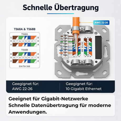 Universal Netzwerkdose LAN Dose Aufputz & Unterputz EIA/TIA 568A&B | 2x RJ45 Port | CAT6a, CAT7, CAT8 kompatibel - Weiß